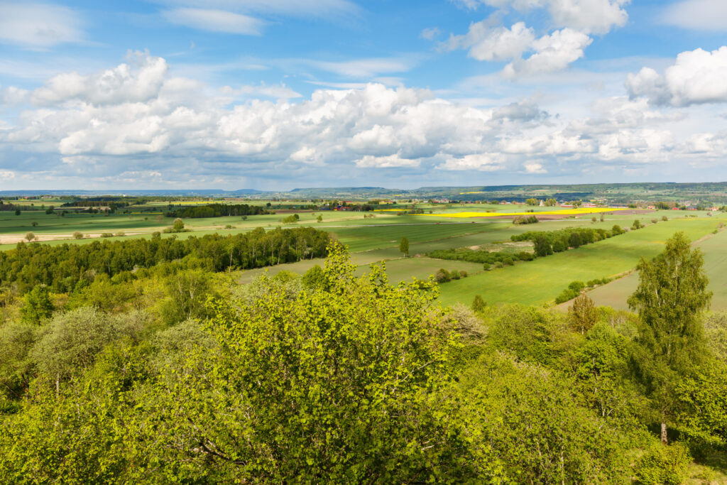 Vy över ett vackert slättlandskap Foto: MostPhotos