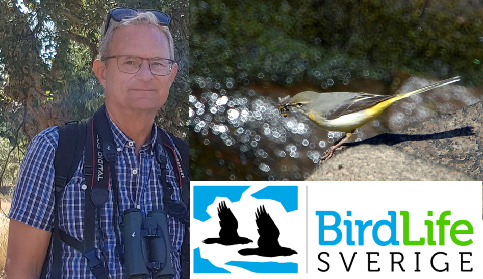 Jan Linder och Bird LIfe Sverige