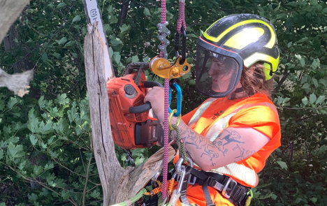 Arborist. Foto: Johnny Eklöf