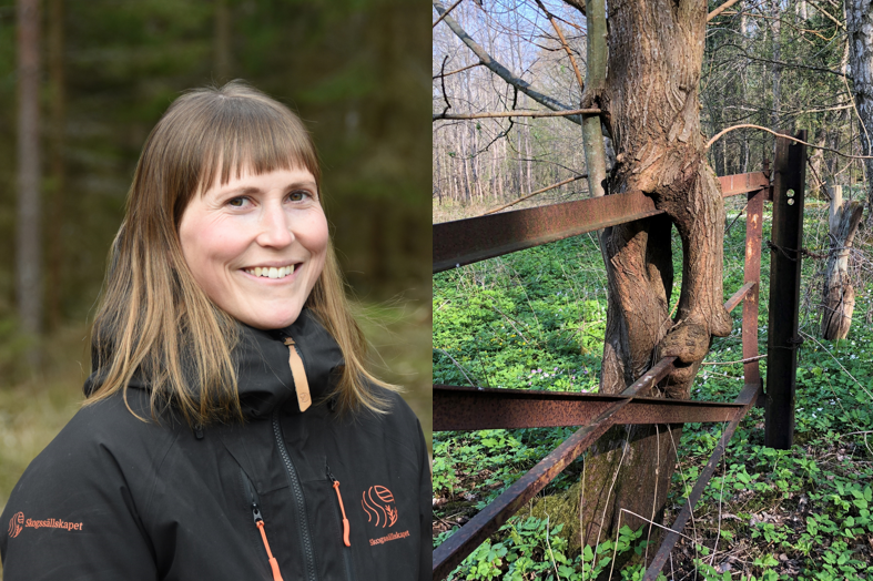 Ulrika Lagerlöf, Skogssällskapet Foto: Skogssällskapet. Skånes knasigaste träd. Foto: Ragnar Nilsson