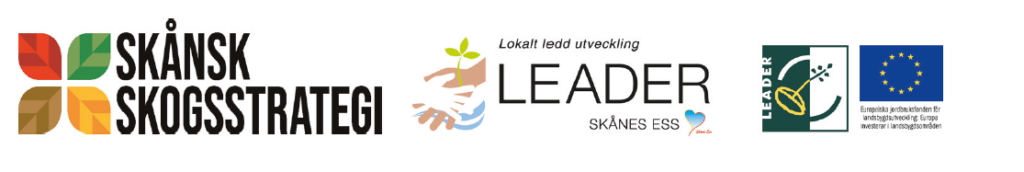 logotyp leader