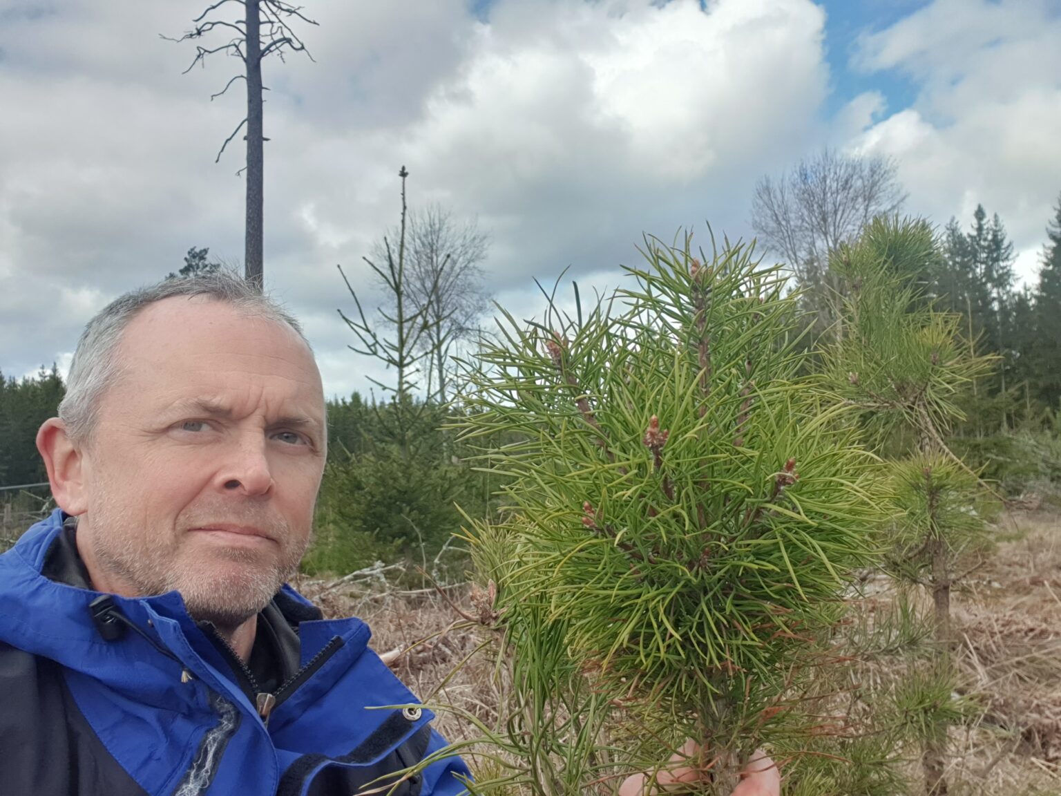 skog-och-vilt-i-balans-ja-men-n-r-del-6-slu-sk-nsk-skogsstrategi
